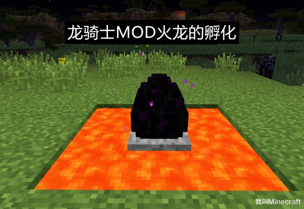 我的世界末影龙蛋孵化要多久（网易手机版孵化龙蛋的步骤）-7