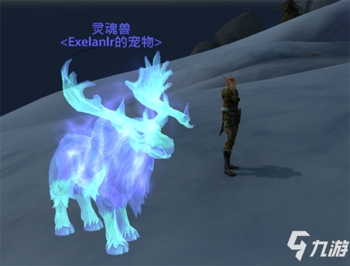 魔兽世界灵魂兽位置大全（魔兽世界灵魂兽位置了解）-2