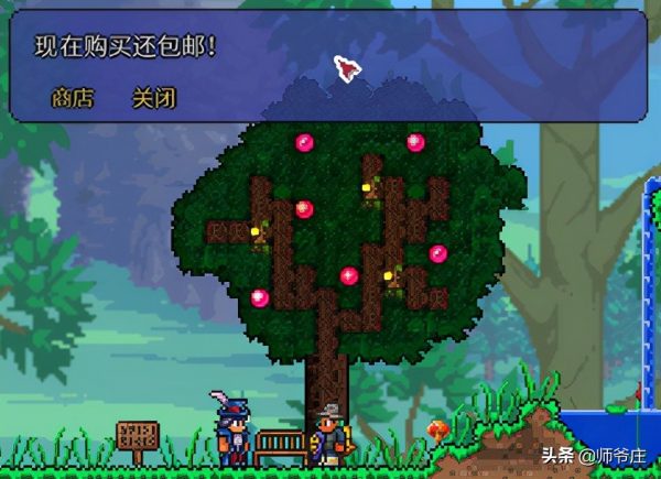 泰拉瑞亚奇异植物怎么找（泰拉瑞亚奇异植物染料大全）-8