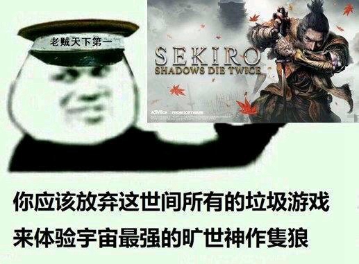 只狼破解版3dm下载（只狼免费破解版）-2