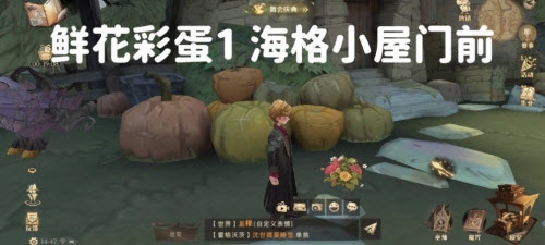哈利波特魔法觉醒6处鲜花彩蛋在哪里