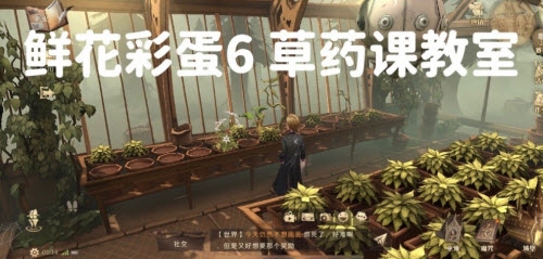 哈利波特魔法觉醒6处鲜花彩蛋在哪里