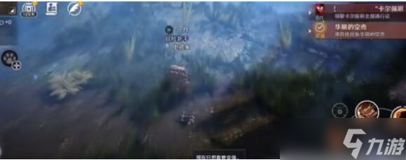 黑色沙漠手游华丽的空壳怎么做 华丽的空壳任务攻略详解
