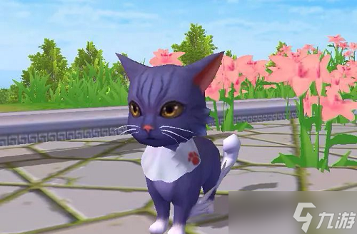 创造与魔法贝雅新猫怎么获得？