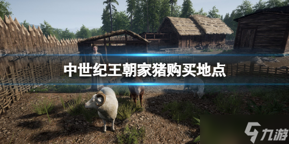中世纪王朝家猪购买地点介绍 猪在哪里买