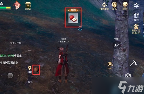 诺亚之心苹果树位置图文教程