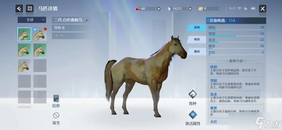 诺亚之心养马技巧