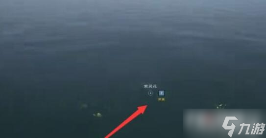 太荒初境紫灵花采集图文教程