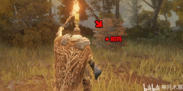 艾尔登法环柏克支线任务指南