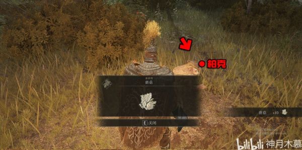 艾尔登法环柏克支线任务指南