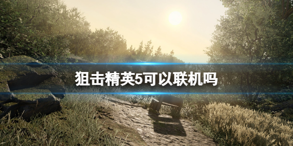 狙击精英5几人联机？可以联机吗？