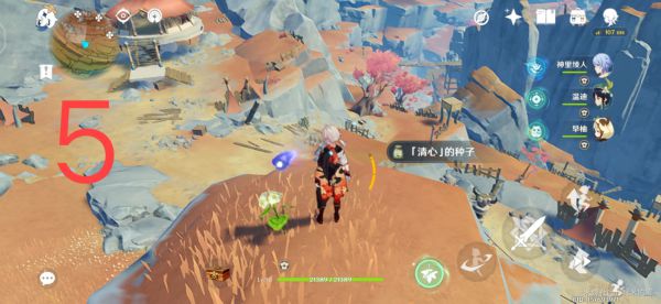 原神层岩巨渊地区清心采集路线