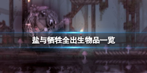 盐与献祭出生物品有什么？全出生物品一览