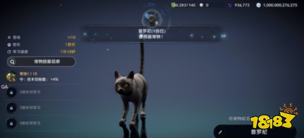黑色沙漠手游黑色瘦猫任务怎么过 黑色瘦猫任务攻略