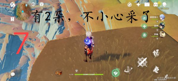 原神层岩巨渊地区清心采集路线