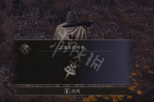 艾尔登法环志留亚的树矛怎么获得 志留亚的树矛获得方法