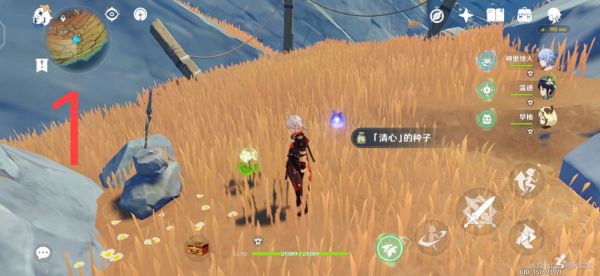 原神层岩巨渊地区清心采集路线