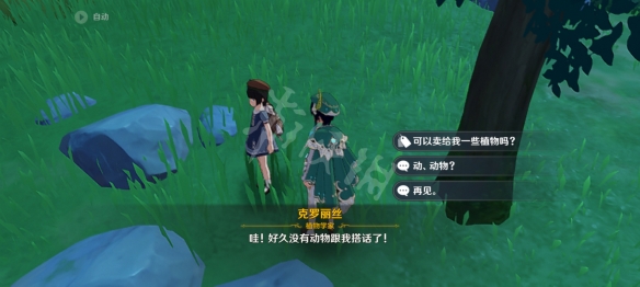 原神钩钩果哪里有卖？钩钩果购买位置介绍