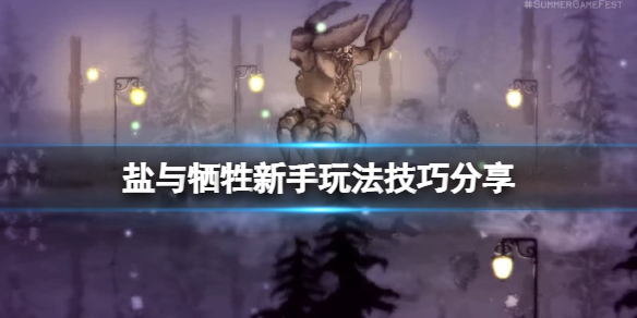 盐与献祭近战怎么玩？新手玩法技巧分享