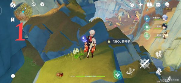 原神层岩巨渊地区清心采集路线