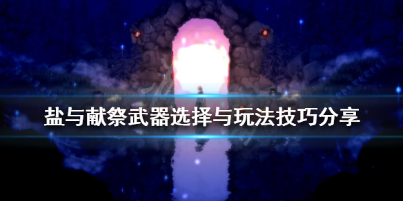 盐与献祭如何选择武器？武器选择与玩法技巧分享