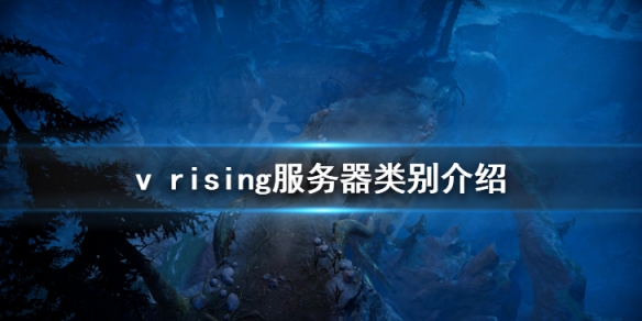 吸血鬼崛起服务器怎么选 v rising服务器类别介绍