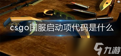 csgo国服启动项代码是什么 国服启动项代码分享