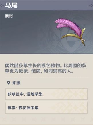 原神马尾作用介绍与采集路线分享