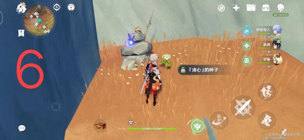 原神层岩巨渊地区清心采集路线
