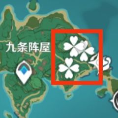 原神2.6版苹果采集点位整理