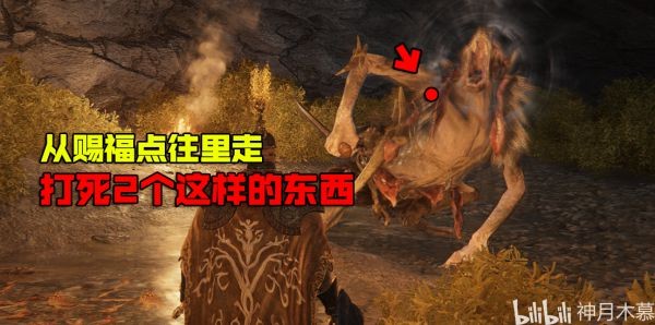 艾尔登法环柏克支线任务指南