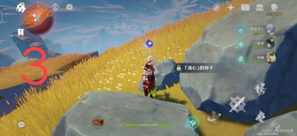 原神层岩巨渊地区清心采集路线