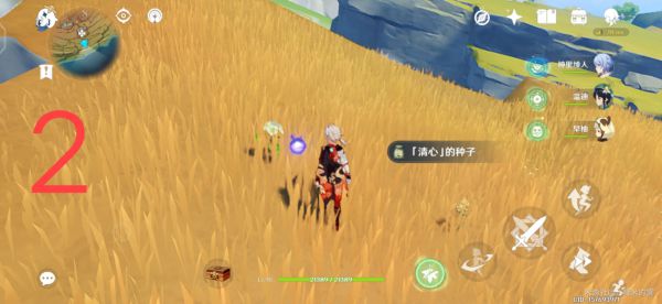 原神层岩巨渊地区清心采集路线