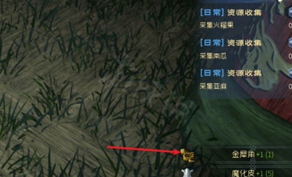 太荒初境金犀角怎么获得？金犀角获得方法