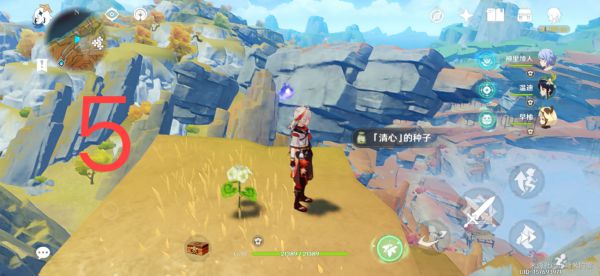 原神层岩巨渊地区清心采集路线
