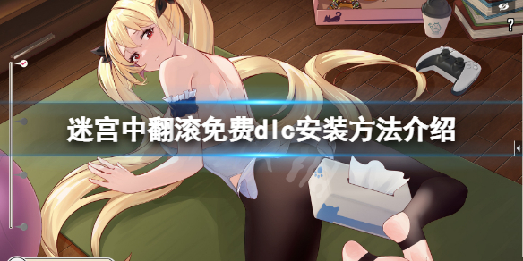 迷宫中翻滚补丁怎么安装？游戏免费dlc安装方法介绍