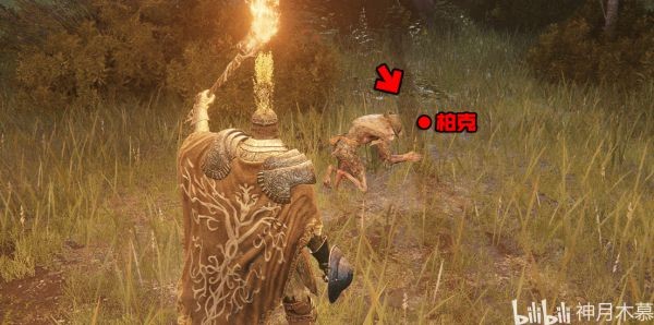艾尔登法环柏克支线任务指南