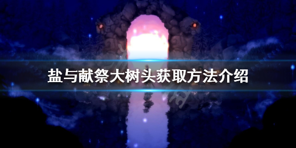 盐与献祭大树头如何获得？大树头获取方法介绍