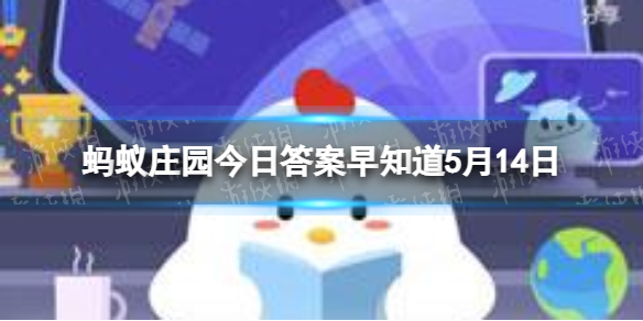 你注意过吗:我国的盲道表面通常是什么形状的凸起 蚂蚁庄园今日答案早知道5月14日