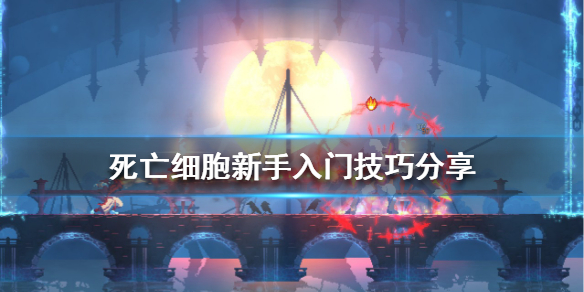 死亡细胞新手该怎么玩？新手入门技巧分享
