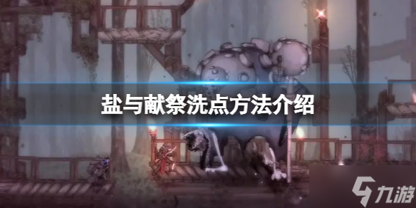 《盐与献祭》属性点加错怎么办