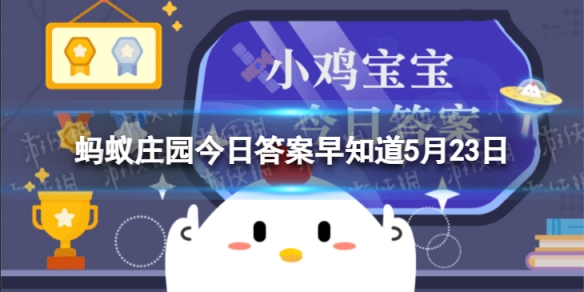 给车加哪一种型号的汽油，一般取决于汽车的 蚂蚁庄园今日答案早知道5月23日
