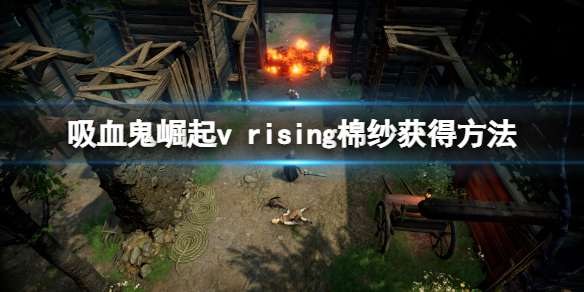 吸血鬼崛起棉纱怎么获得？v rising棉纱获得方法