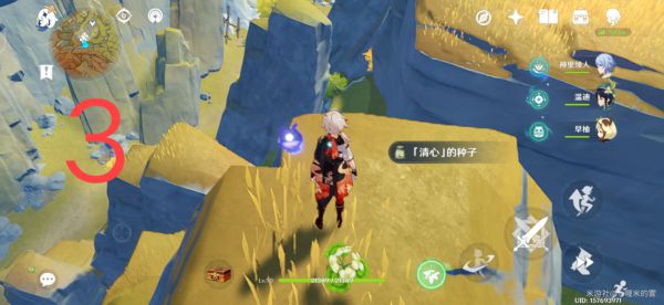 原神层岩巨渊地区清心采集路线