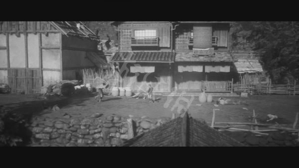 黄泉之路图文攻略 全章节流程及文物收集图文攻略