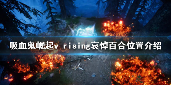 吸血鬼崛起哀悼百合哪里多？v rising哀悼百合位置介绍