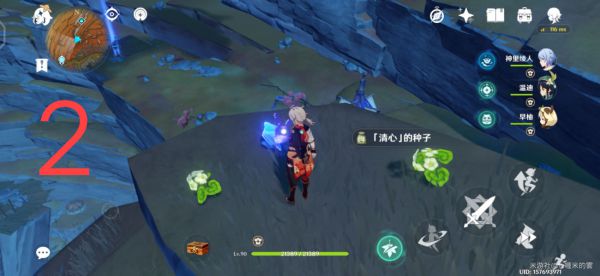 原神层岩巨渊地区清心采集路线