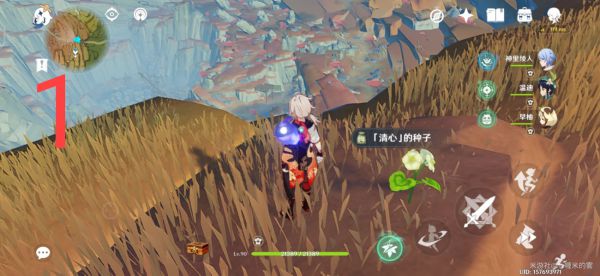 原神层岩巨渊地区清心采集路线