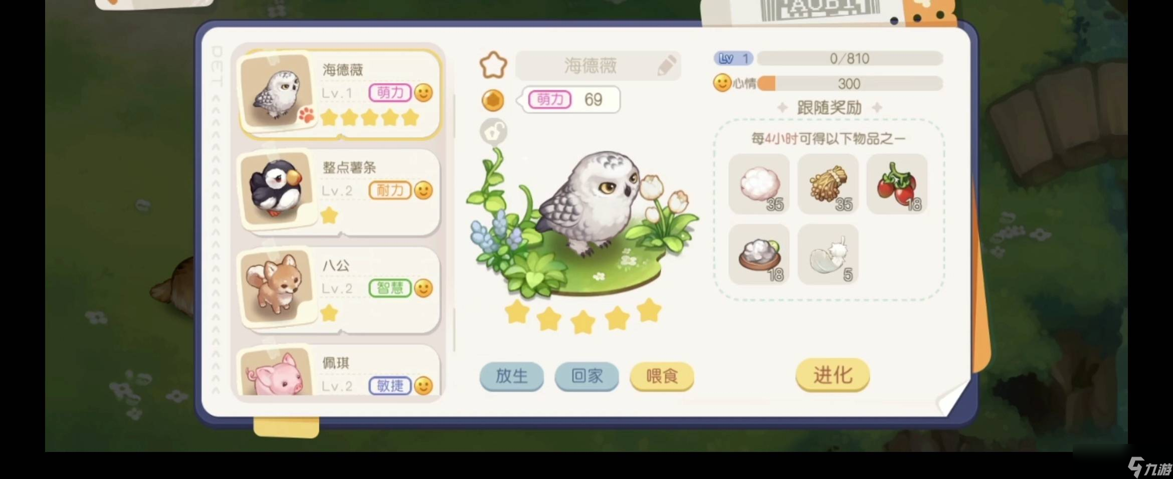 奥比岛宠物在哪里抓