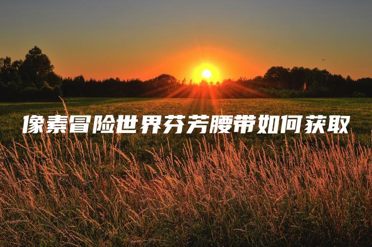 像素冒险世界芬芳腰带如何获取